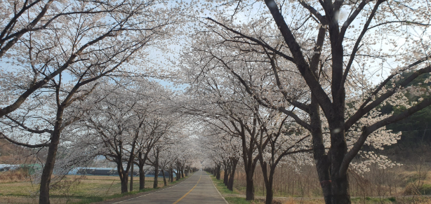 1772690230023.png 이미지